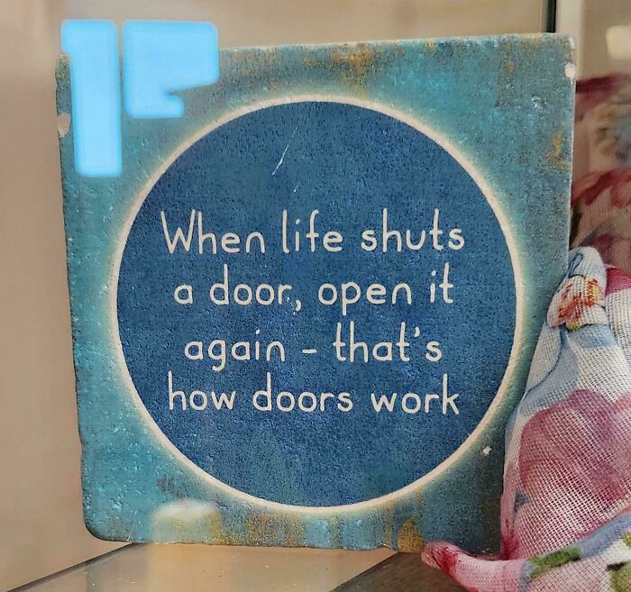 Funny sign with a humorous life quote about doors, part of confusing and funny signs featuring bees.