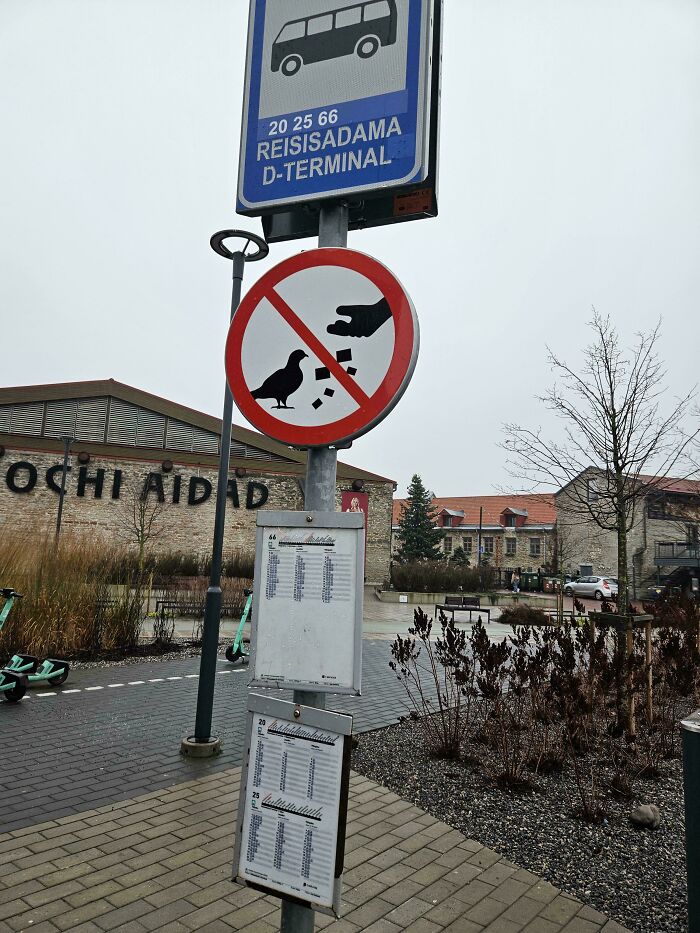No feeding pigeons sign posted below bus stop sign at a terminal with confusing and funny urban details.