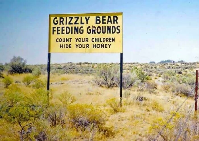 Funny and confusing warning sign about grizzly bears in a dry, open landscape, related to bees and wildlife safety.