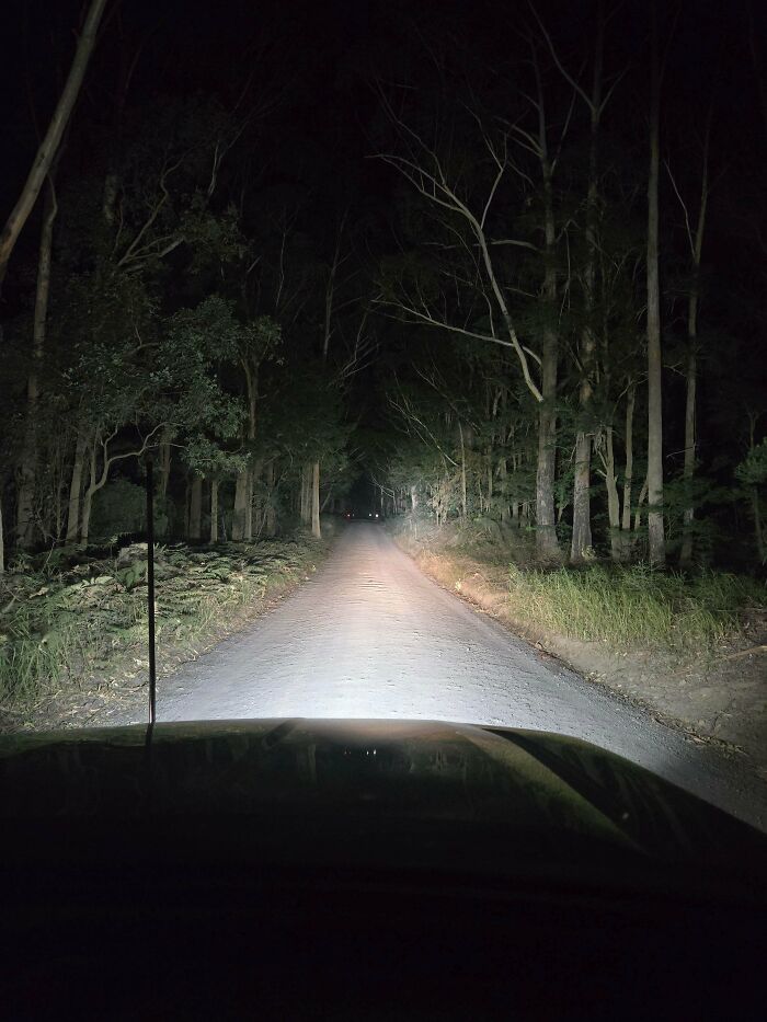 Headlights illuminate a dark, tree-lined dirt road at night, viewed from a car's dashboard. A perfect night for dads.