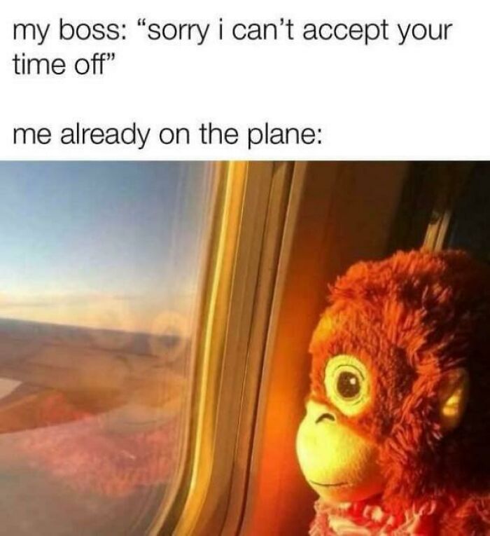 Plush monkey looking out airplane window, paired with meme text about time off request and travel plans.