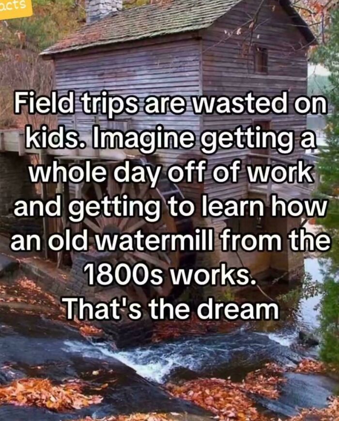 Old watermill by a stream with meme text about wishing for a day off work to learn how it works, relatable posts and memes.