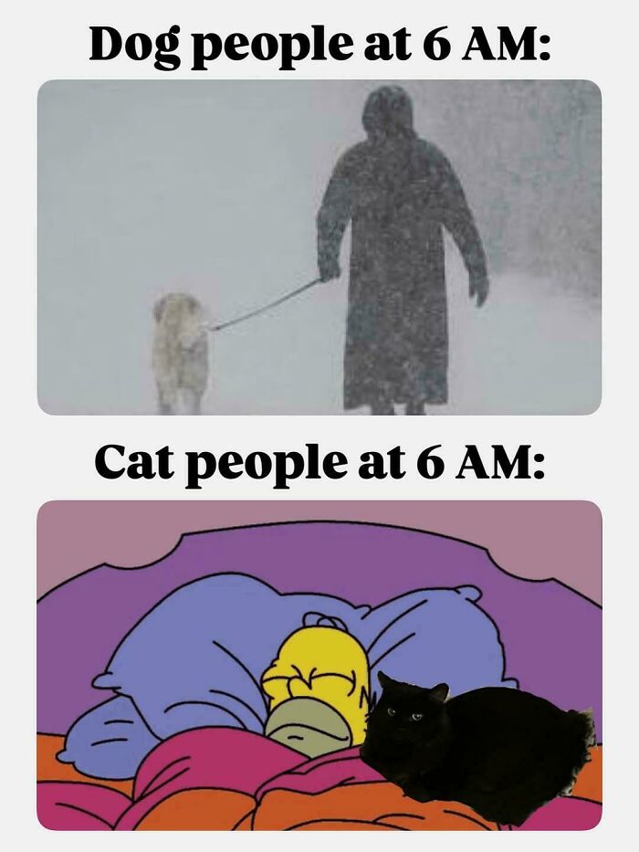 Comparison meme showing dog people walking outside early and cat people staying cozy in bed, relatable posts and memes about life.