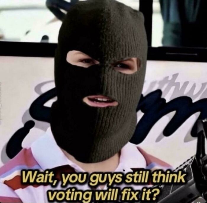 Person wearing a black balaclava with text meme about voting, referencing relatable posts and memes about our lives.