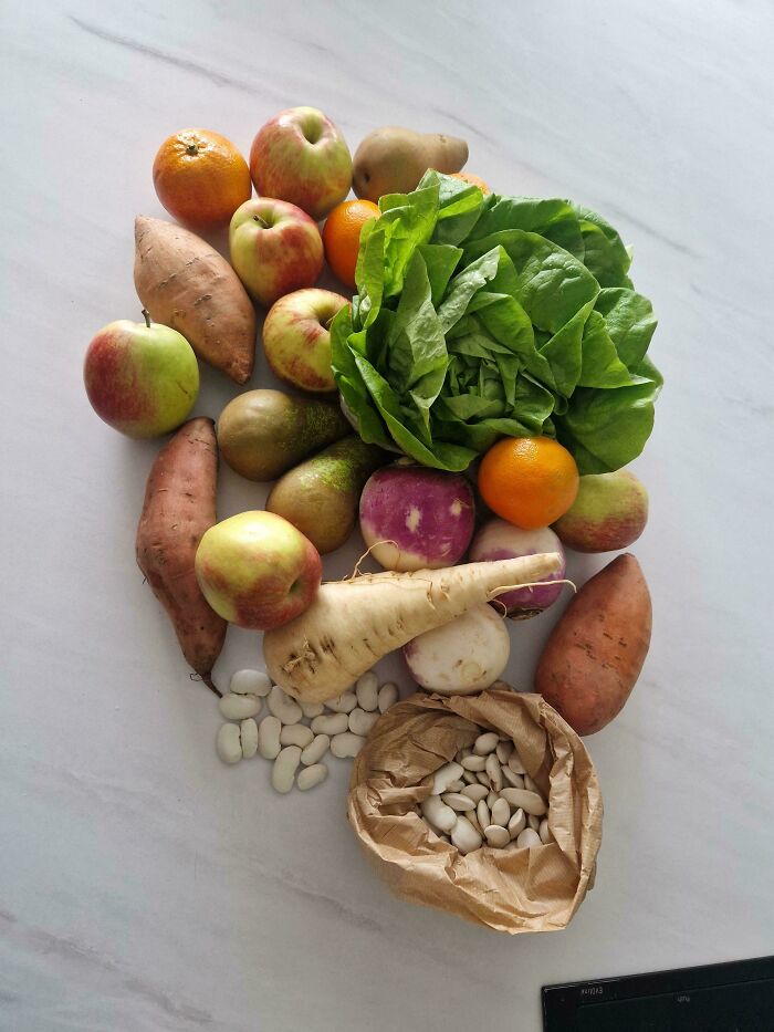 Fresh fruits, vegetables, and beans arranged on a surface illustrating groceries cost where people live.