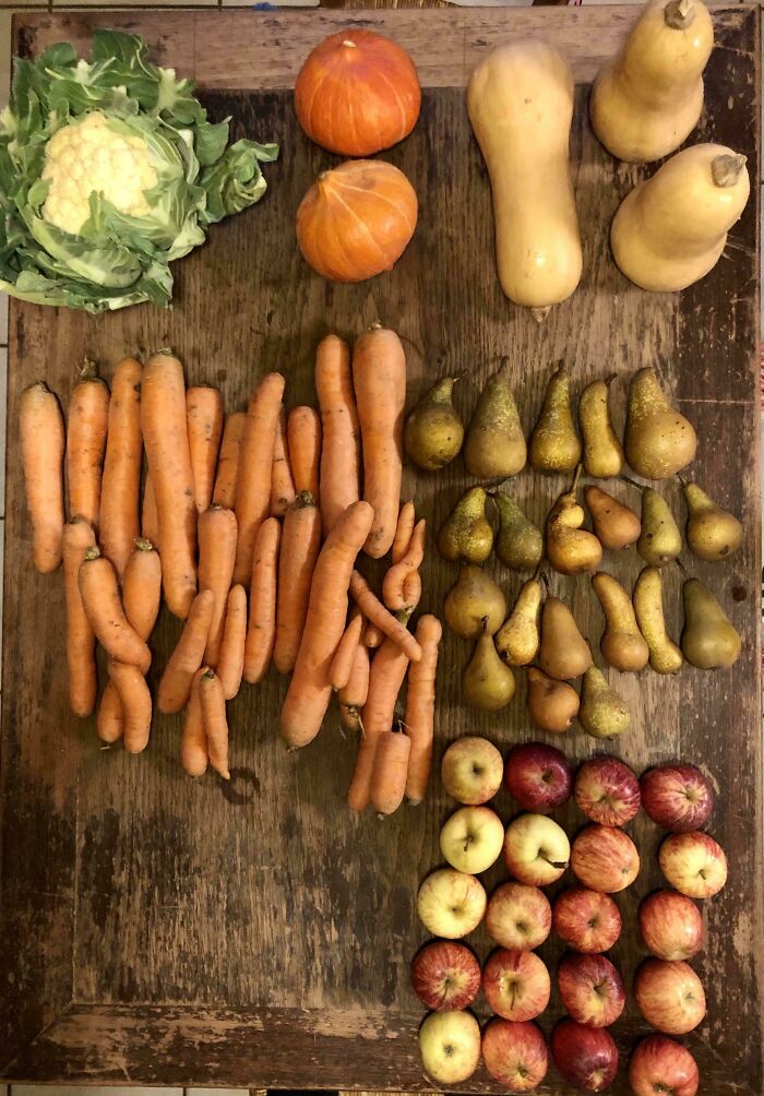 Various fresh groceries including carrots, pears, apples, cauliflower, pumpkins, and squash displayed on a wooden table.