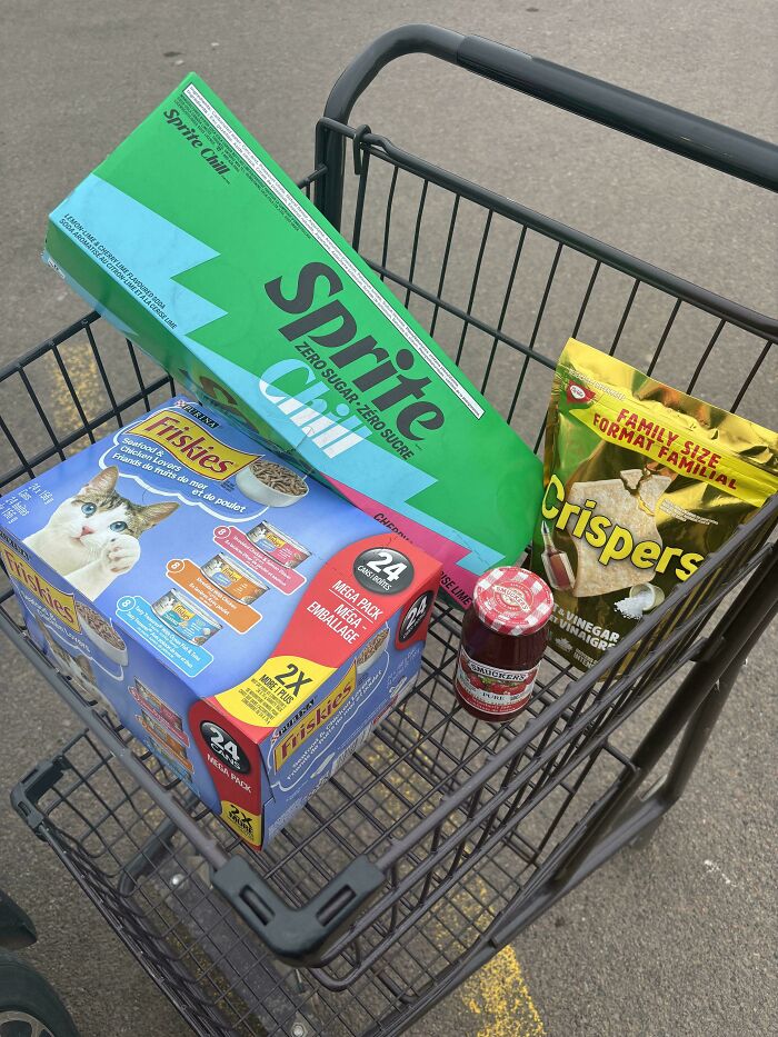 Shopping cart with groceries including soda, cat food, chips, and jelly highlighting grocery costs where people live.
