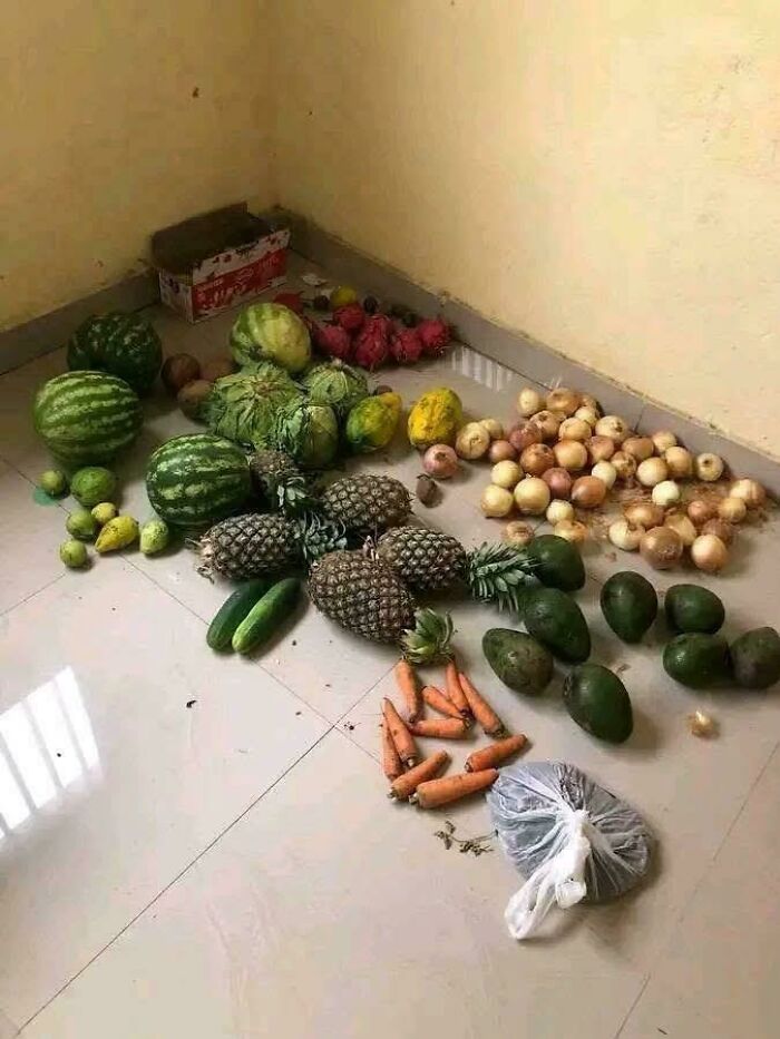 Various fruits and vegetables including watermelons, pineapples, onions, and carrots displayed on floor showing grocery costs.