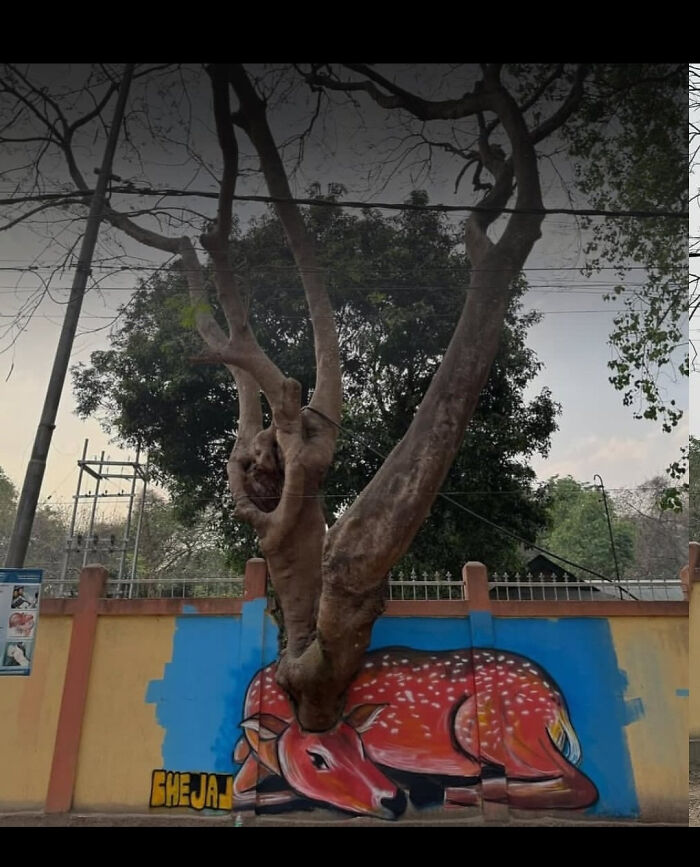 A tree growing over a wall with a painted deer, creating an interesting optical illusion, a truly d**n interesting sight.