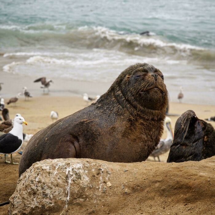 Viña Del Mar, Chile