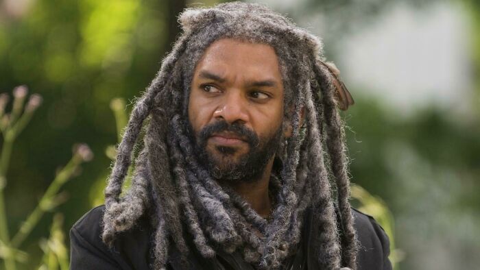 A man with amazing long hair in dreadlocks and a beard, looking to the side outdoors.