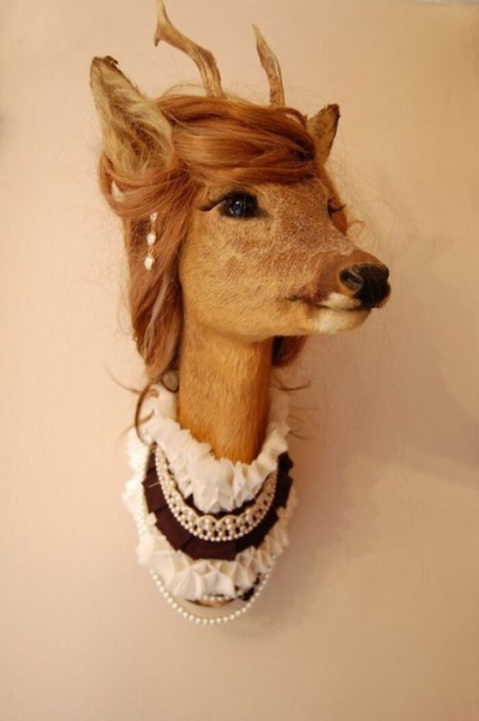 Deer head mount styled with hair and jewelry displaying craftsmanship