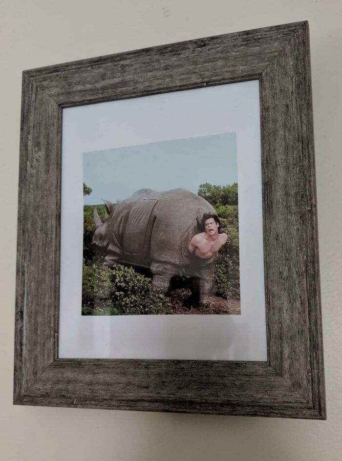 Framed photo of a person humorously edited inside rhinoceros body showing weird craftsmanship