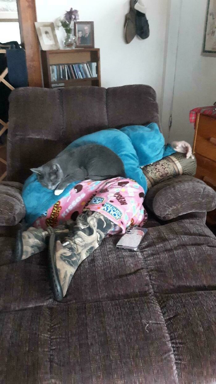 A cozy cat cuddling and resting on a person lying on a chair, showcasing adorable animal moments to lift spirits.
