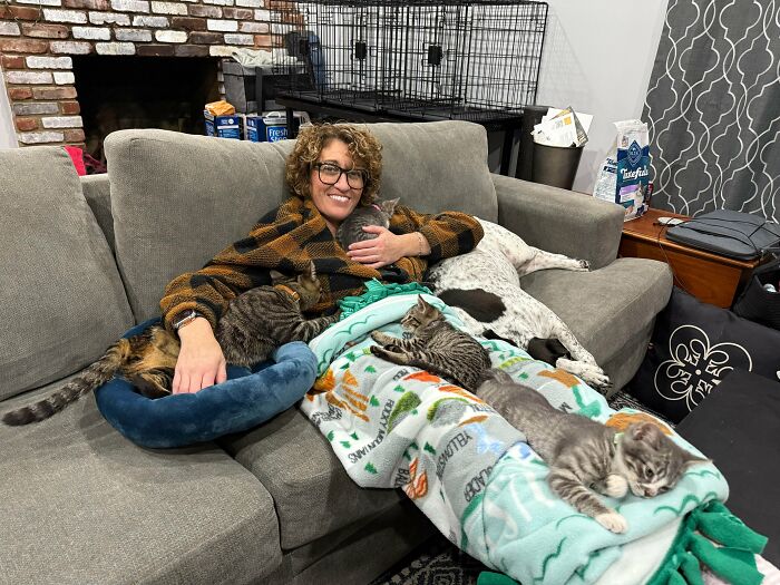 Person relaxing on a couch surrounded by adorable cats and a dog, showcasing cute and lovable animals at home.