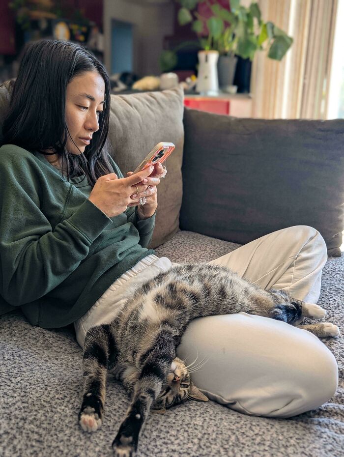 Woman relaxing on a couch with an adorable cat stretched out on her lap, showcasing cute and lovable animals.