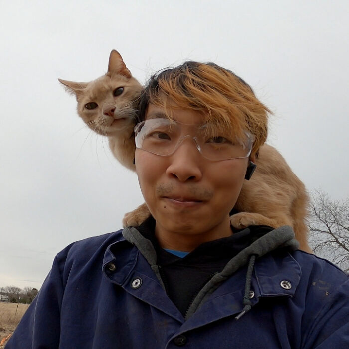 Person wearing clear glasses with an orange cat perched on their shoulder, showcasing adorable animals that uplift spirits.