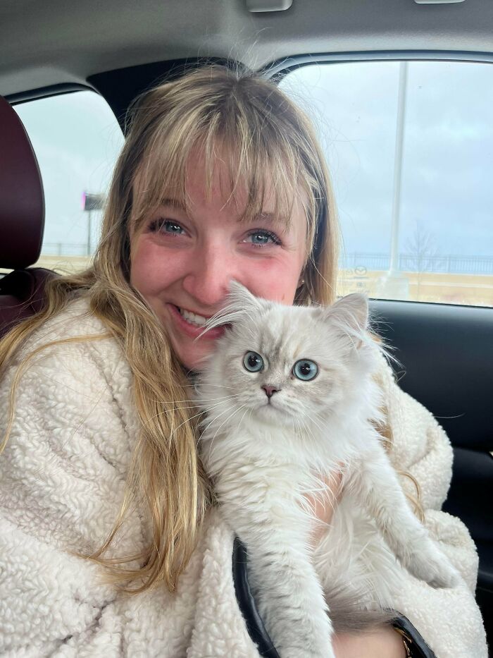 Young woman smiling and holding an adorable fluffy cat inside a car, showcasing cute animal companionship.
