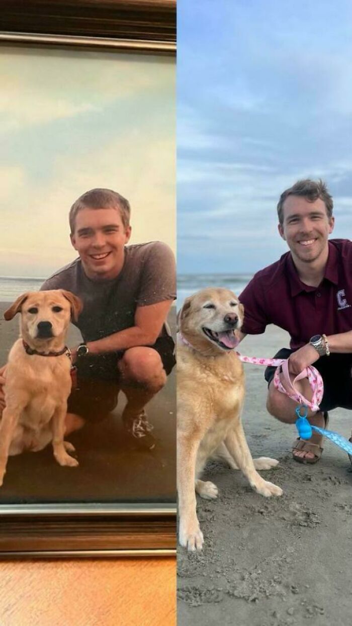 Side-by-side photos of a man and his dog at the beach, showing their bond and adorable animal companionship over time.
