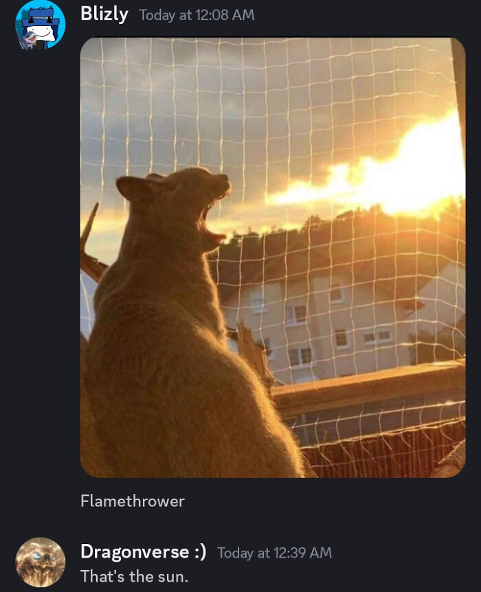 A photo of a cat yawning near a bright sunset captioned Flamethrower and corrected by a user.