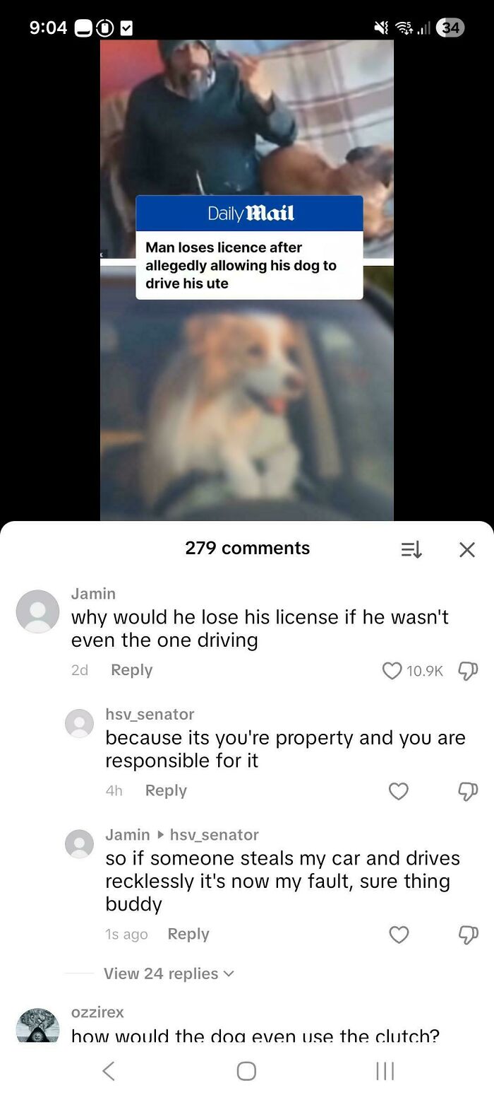 TikTok comments showing a user who corrected an obvious joke about a dog driving a ute.