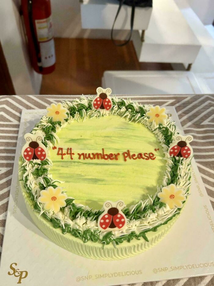 Round cake with ladybug and flower decorations, featuring a hilarious misprint of instructions in red icing.