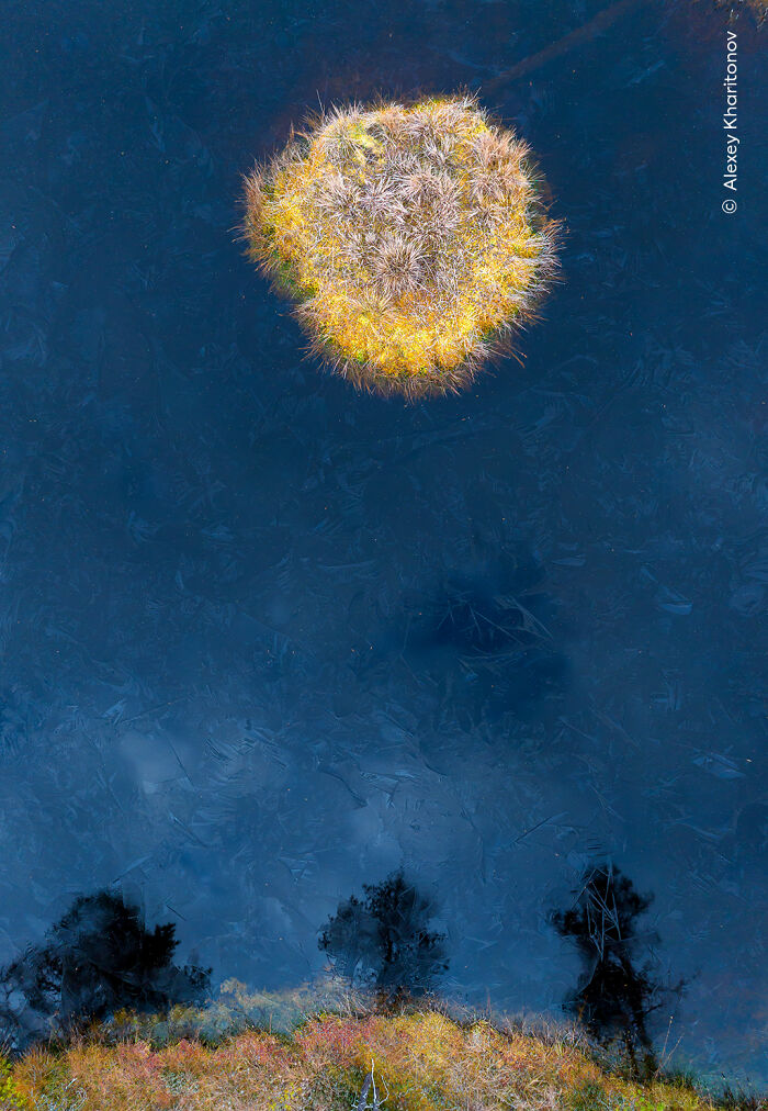 Aerial view of colorful vegetation and trees reflected in icy water, showcasing nature's beauty in Wildlife Photographer of the Year.