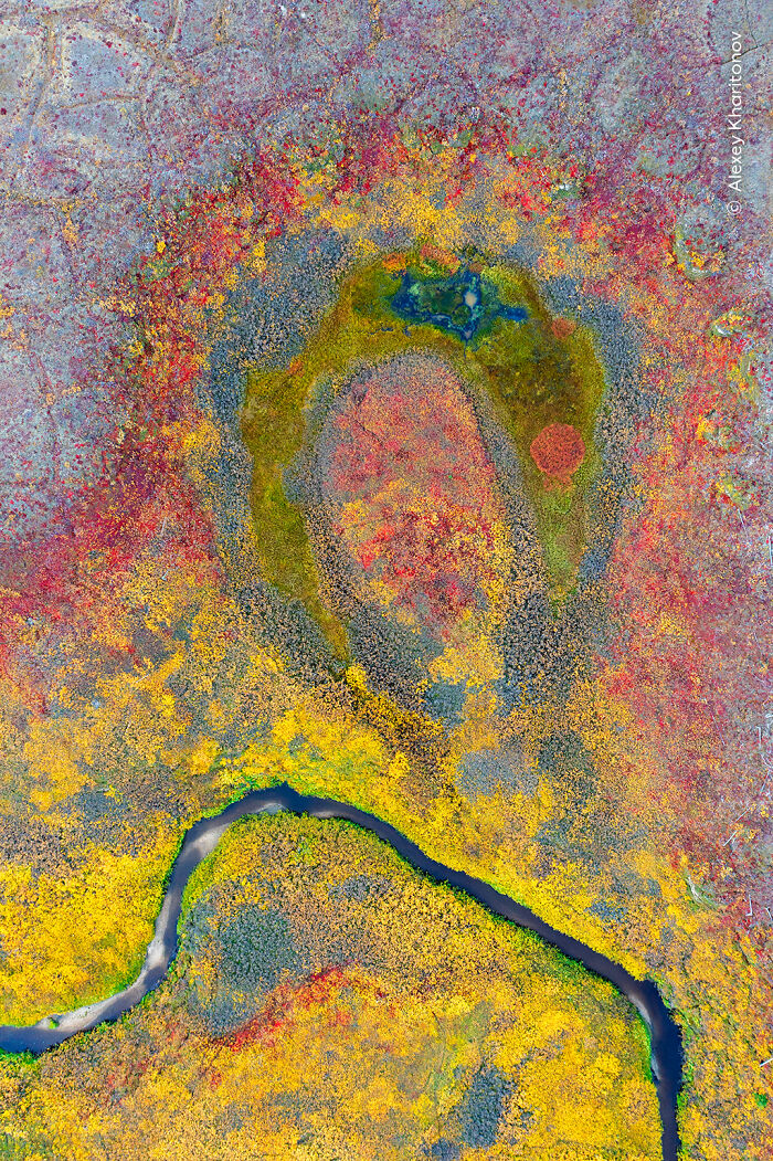 Aerial view of colorful wetland landscape with winding river, showcasing nature’s beauty in Wildlife Photographer of the Year 2025.