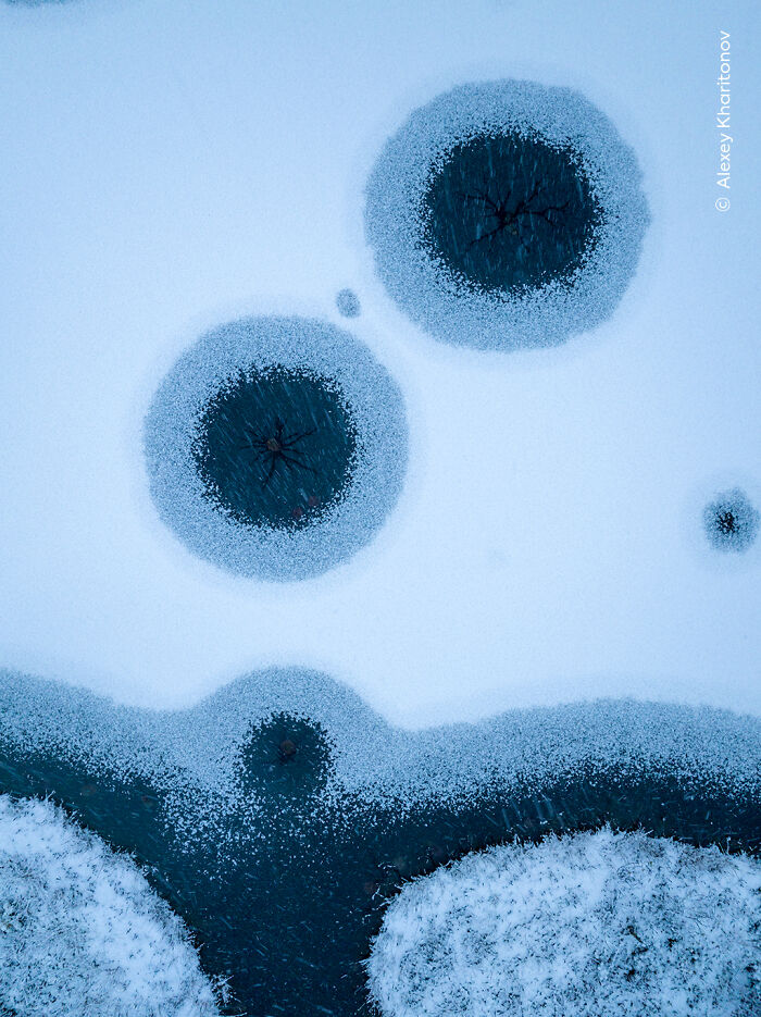 Aerial view of frozen water with circular ice patterns showcasing stunning wildlife photographer of the year 2025 nature artistry.