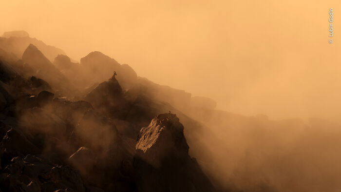 Mountain goats perched on misty rocky cliffs captured by Wildlife Photographer Of The Year 2025 winners.