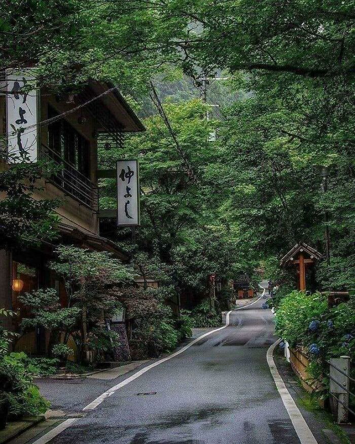 Amazing photo of a serene, tree-lined road in a traditional Japanese village, teaching about beautiful places.