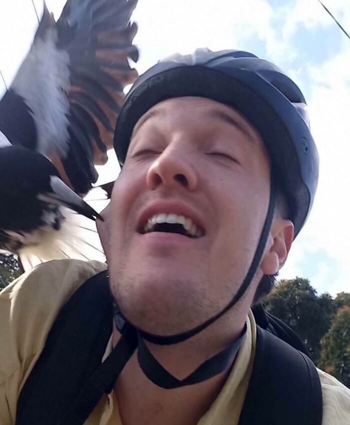 Man wearing helmet reacts as bird flaps wings close to his face funny photo capturing a spontaneous moment for SEO.