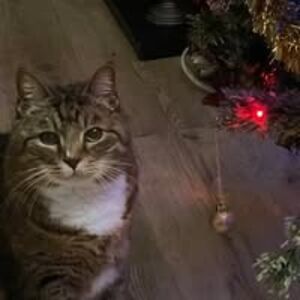 geoffrey_salter1 avatar