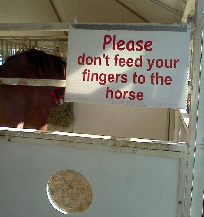 Funny photo of a warning sign telling visitors not to feed their fingers to the horse in the stable.