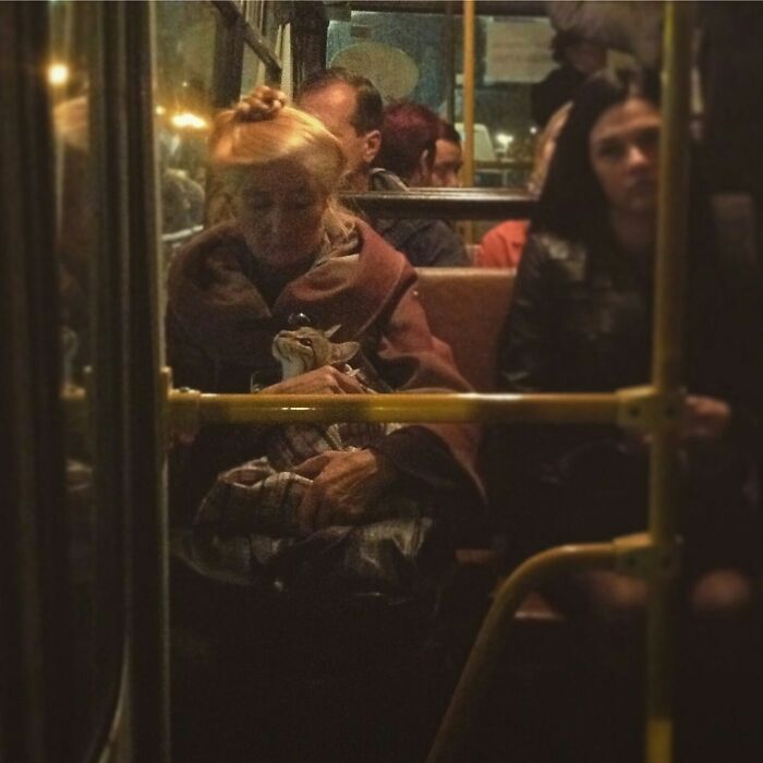 Woman holding her pet cat inside a bus, creating a serene moment with accidentally Renaissance pets animals style.