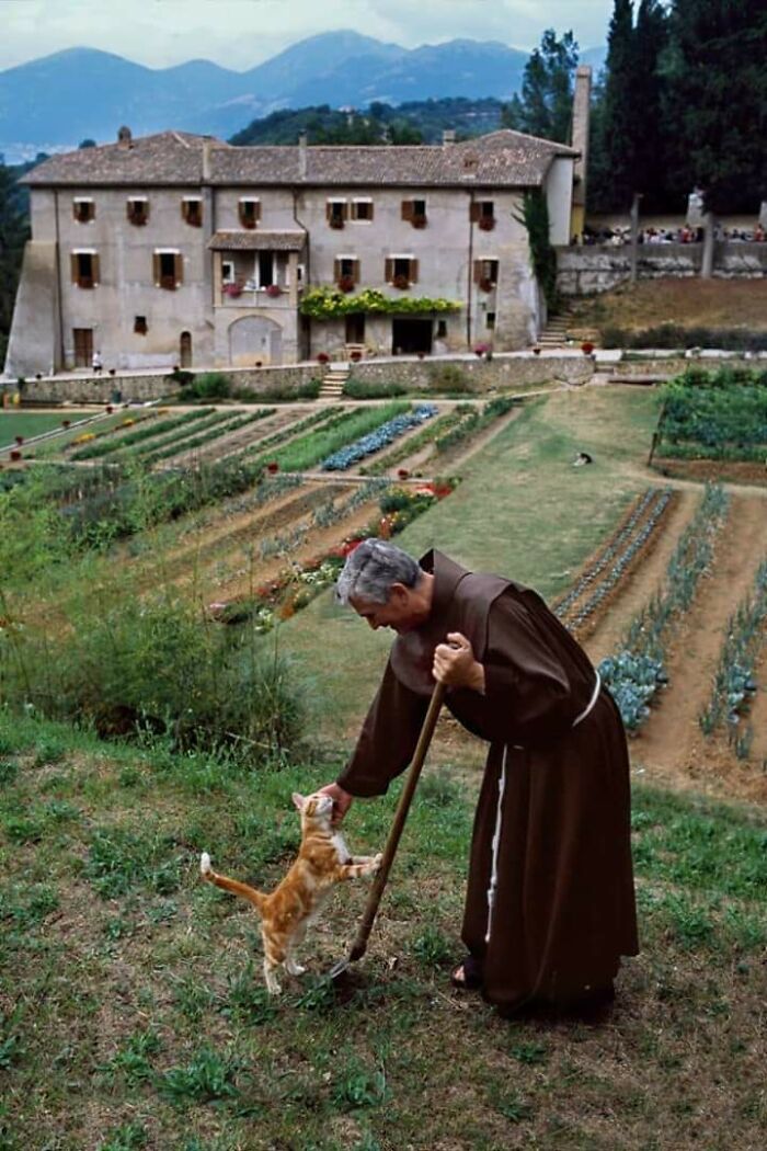 A man dressed in a brown robe gardening outside a rustic building while interacting with an orange cat in a Renaissance-style setting.