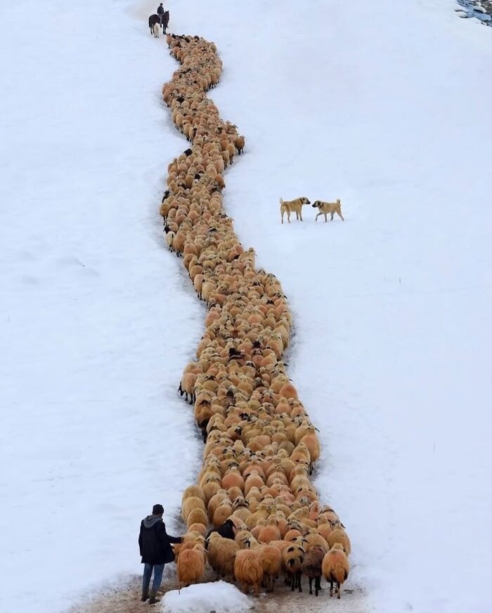 These Stunning Photographs Capture Perfectly Timed Moments That Tell Whole Stories (35 New Pics)