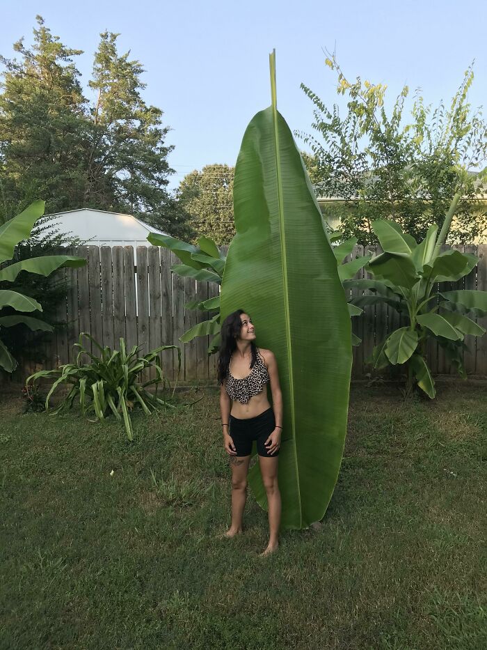 Woman standing next to a giant green leaf in a backyard surrounded by various tropical plants and trees in nature.