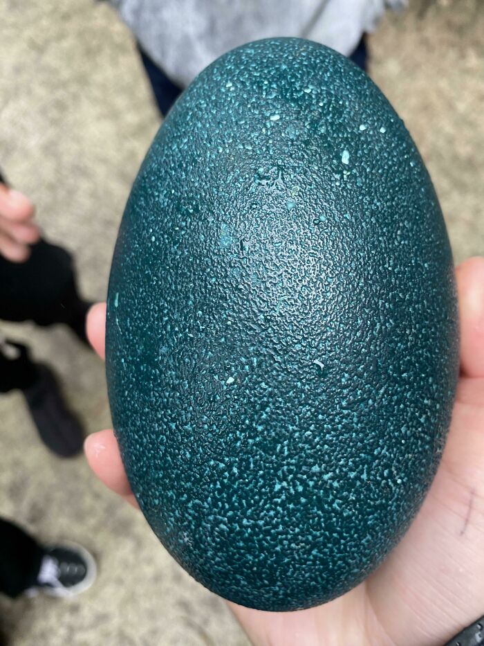 Close-up of a textured blue-green nature egg held in hand, showcasing unique and interesting natural details.