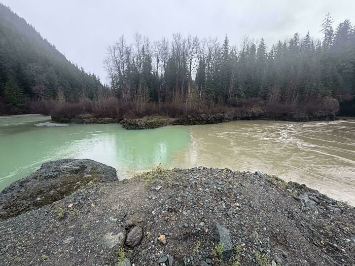 Confluence of two differently colored rivers surrounded by forest and rocky terrain in a nature landscape.