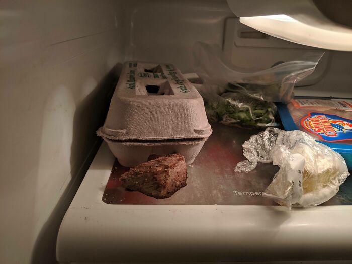 Partially eaten steak and egg carton left inside a fridge, illustrating laziness and relatable moments of taking a day off.