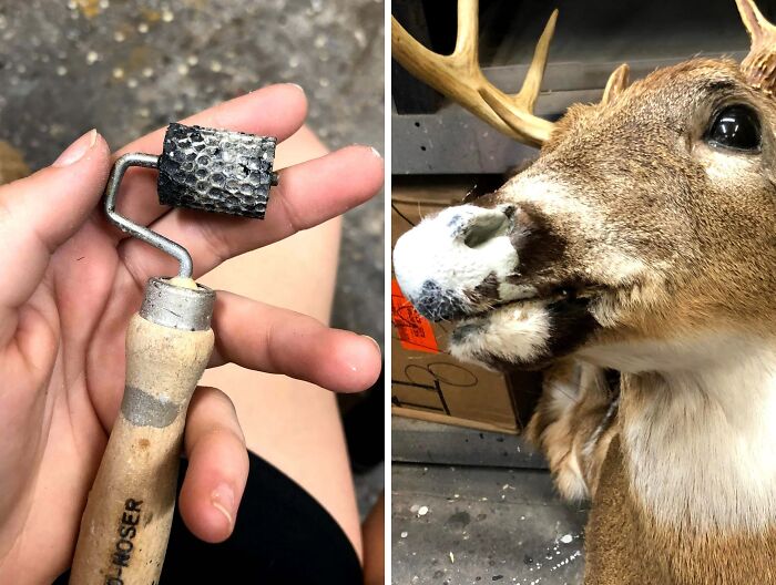 Handheld textured roller tool in hand, shown next to a mounted deer head with a foam nose repair, illustrating interesting problem-solving tools.