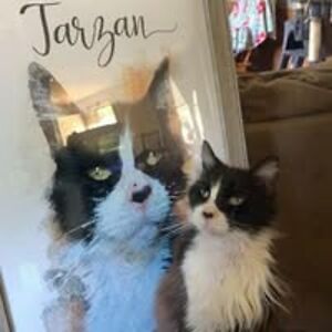 luvingwife4life avatar