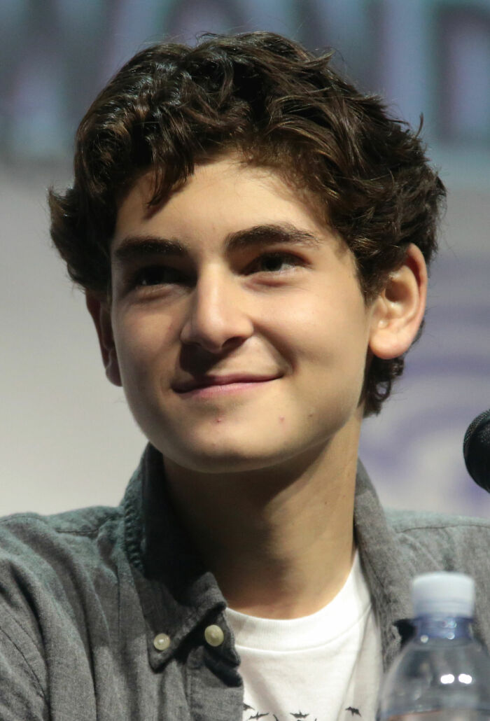 American Actor David Mazouz, 25