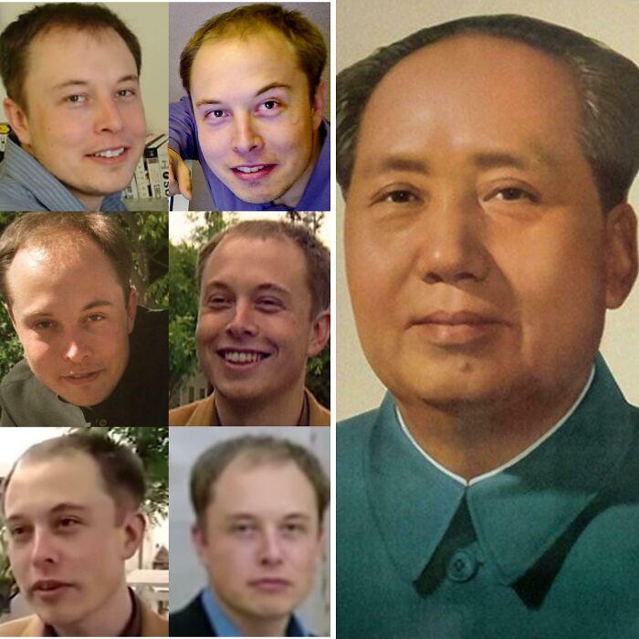 Collage of men with various hair loss patterns illustrating tragic hair accidents and hairstylist mishaps.