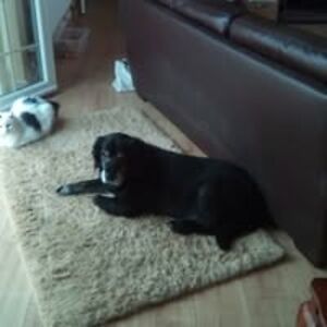 william_whitmore avatar