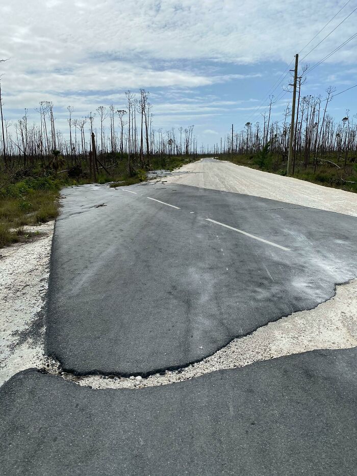 Worn road cutting through sparse trees with blue sky and clouds in a nature scene for nature pics and beauty.