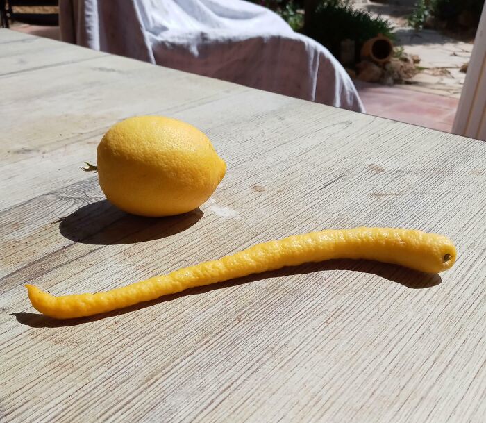 Lemon and elongated citrus peel resting on a wooden table, showcasing interesting nature pics with unique natural shapes.