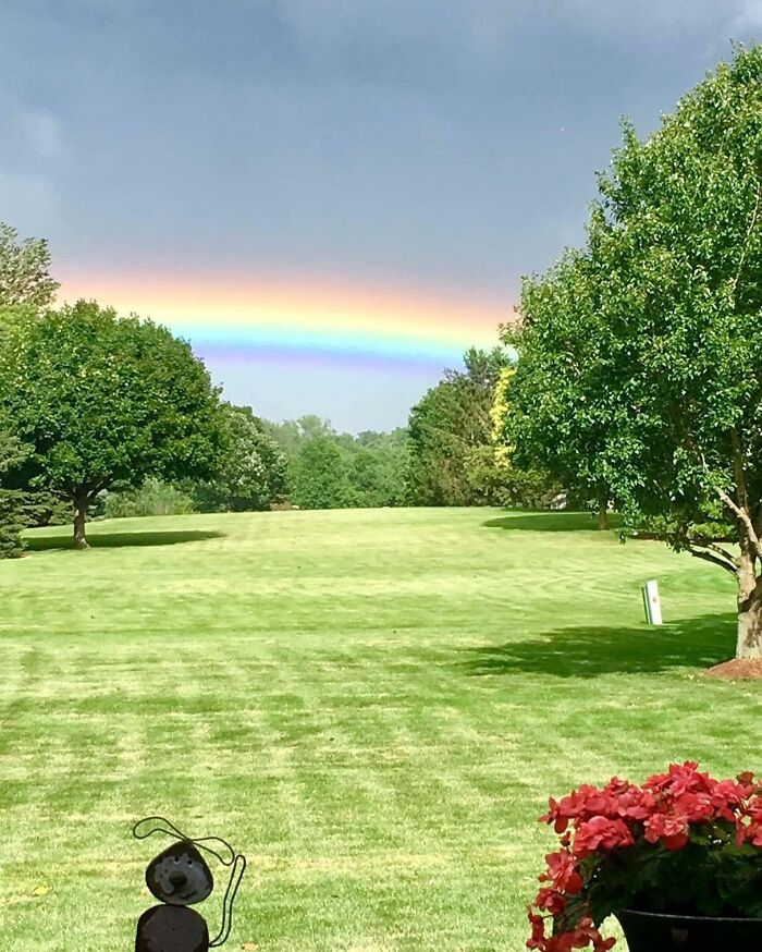Lush green landscape with trees and a vibrant rainbow under a cloudy sky in stunning nature pics scene.