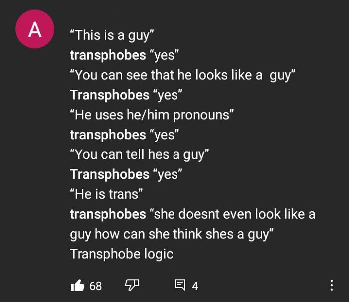 Transphobe Logic Basically
